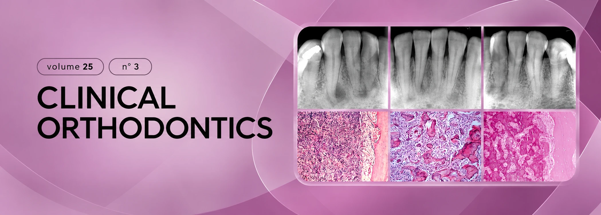 Banner Desktop Clinical Orthodontics